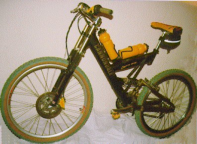 bicicba.jpg (52142 bytes)